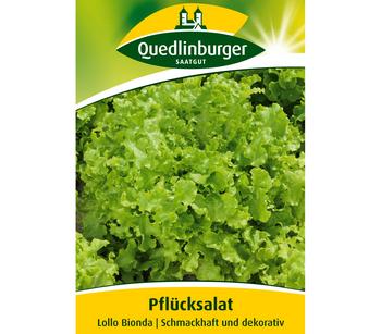 Quedlinburger Samen Plücksalat 'Lollo Bionda'
