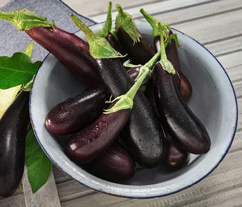Türkische Aubergine