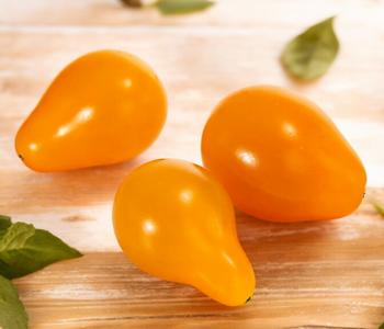 Datteltomate, orange