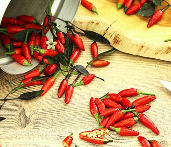 Peperoni 'Piri Piri'