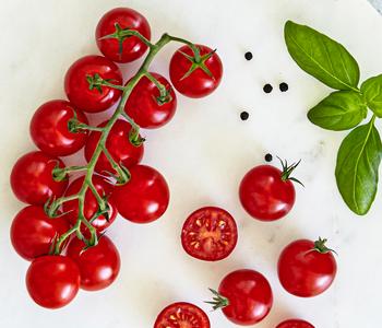 2 x Bioland Cherrytomate, veredelt, Rot - Mindestbestellmenge: 2 Stk.