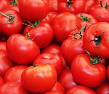 Dehner Gourmet Garten Steaktomate, veredelt