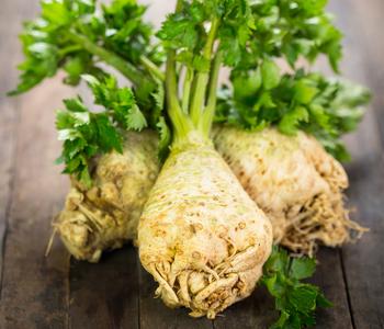 Knollensellerie, 12er Schale