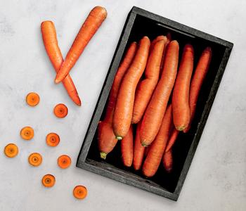 Dehner Gourmet Garten Lange Möhre, 20er Schale