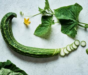 Bioland Schlangengurke