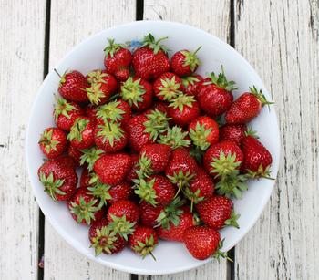 3 x Dehner Gourmet Garten Erdbeere 'Mara des Bois', Rot - Mindestbestellmenge: 3 Stk.
