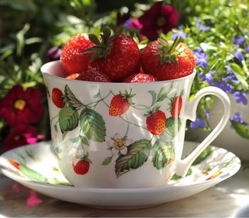 Klettererdbeere 'Aroma', Rot