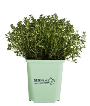 GREENBAR® Thymian
