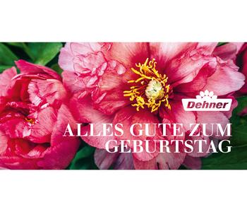 Gutschein - Alles Gute zum Geburtstag