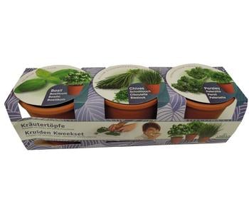 Florex Kräutertopf, 3 Stück